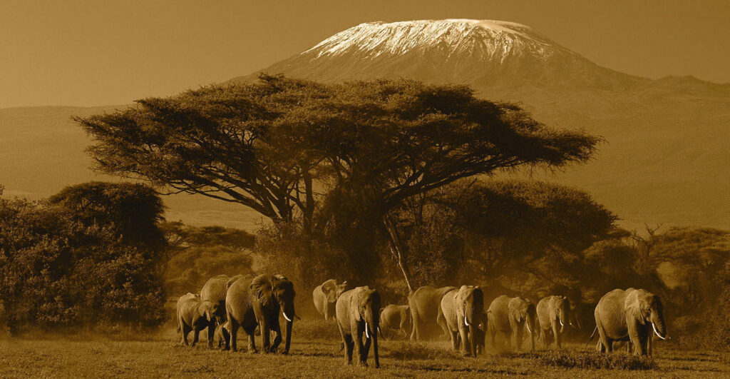 Tanzania-and-Kilimanjaro-Safaris-utmost expeditions