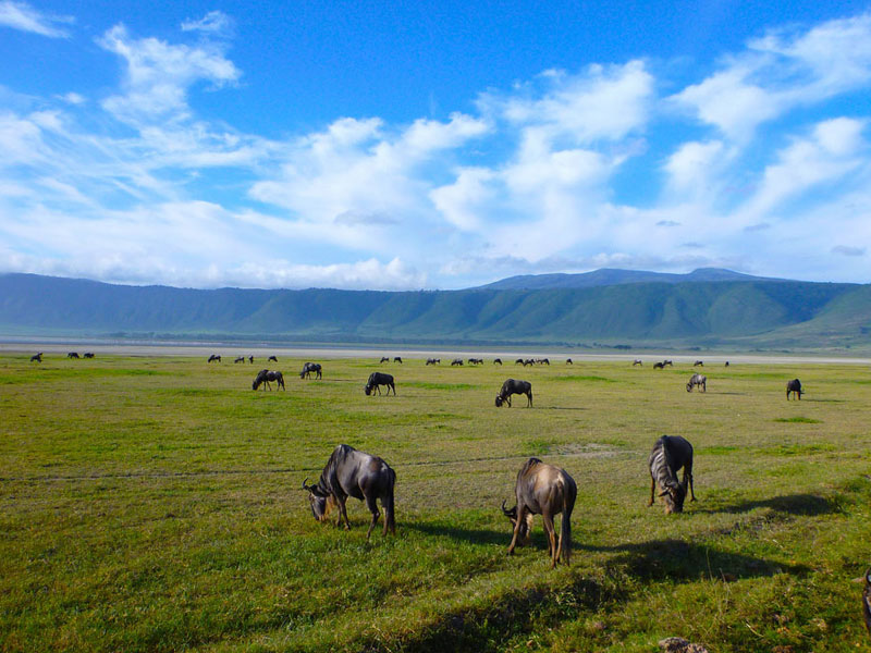 Day-trip-to-Ngorongoro-crater